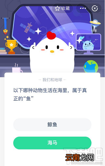 支付宝蚂蚁庄园5月22日答案 以下哪种动物生活在海里属于真正的鱼