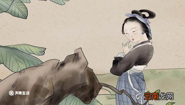 乐羊子妻告诉的道理 乐羊子妻这个故事告诉我们什么道理