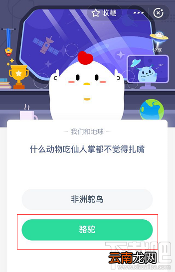 支付宝蚂蚁庄园5月25日答案 什么动物吃仙人掌都不觉得扎嘴