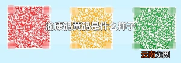 渝康码黄码是什么样子