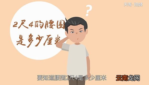 2尺4的腰围是多少厘米