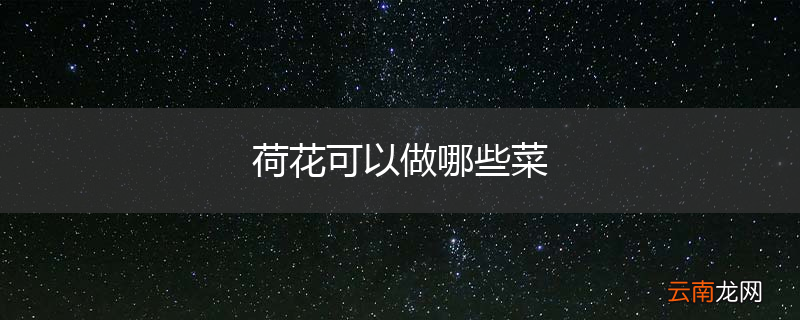 荷花可以做哪些菜