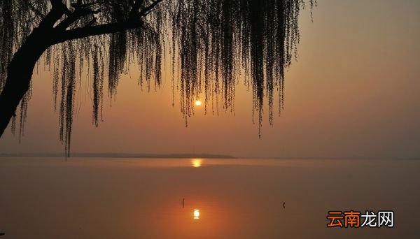 望湖楼在什么地方? 望湖楼的地理位置