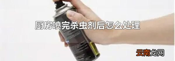 厨房喷完杀虫剂后怎么处理