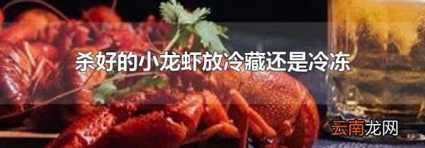 杀好的小龙虾放冷藏还是冷冻