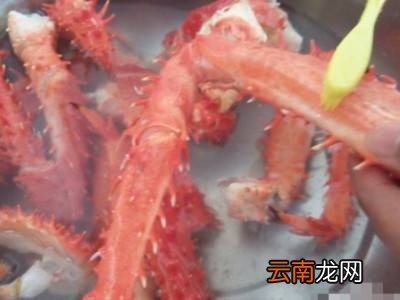 活的帝王蟹如何处理