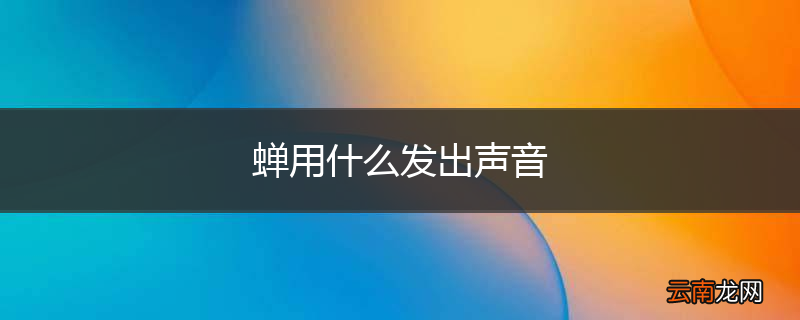 蝉用什么发出声音