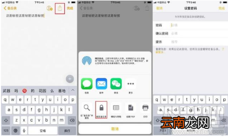 iPhone手机怎么设置保护隐私？iPhone手机设置保护隐私的方法