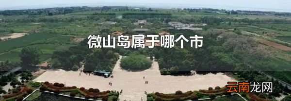 微山岛属于哪个市