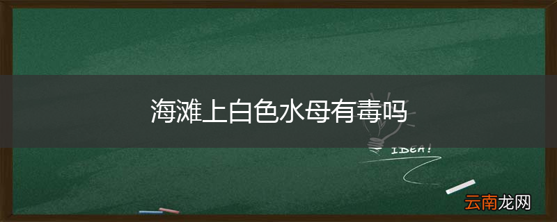 海滩上白色水母有毒吗