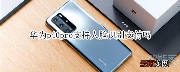 华为p40pro支持人脸识别支付吗