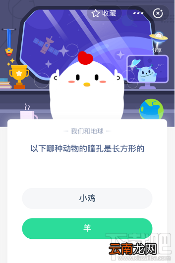 支付宝蚂蚁庄园5月28日答案 以下哪种动物的瞳孔是长方形的