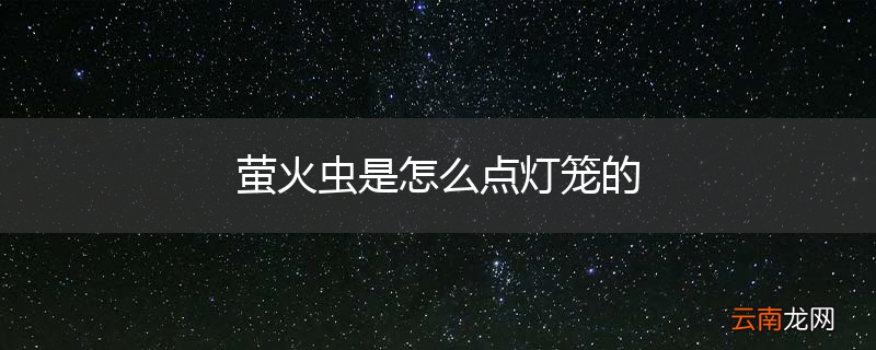 萤火虫是怎么点灯笼的