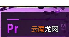 premiere输入文字位置不正进行调整具体操作