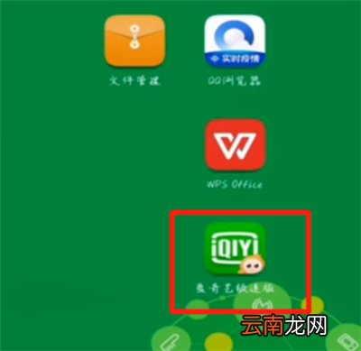 爱奇艺极速版怎么领会员
