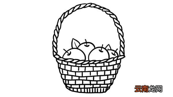 水果篮简笔画怎么画怎么画水果篮简笔画