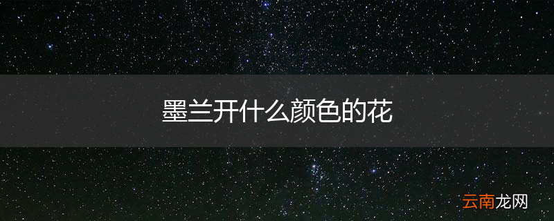 墨兰开什么颜色的花
