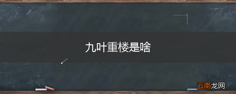 九叶重楼是啥