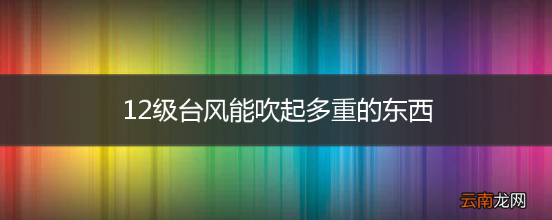 12级台风能吹起多重的东西