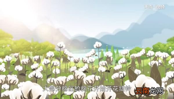 小暑对应的农事活动 小暑农事活动有哪些