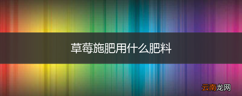 草莓施肥用什么肥料