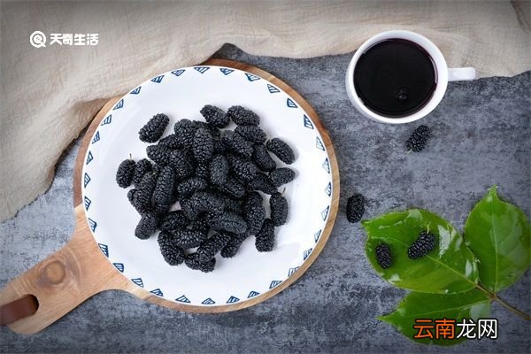 桑果汁的功效与作用 桑果汁的功效与作用有哪些