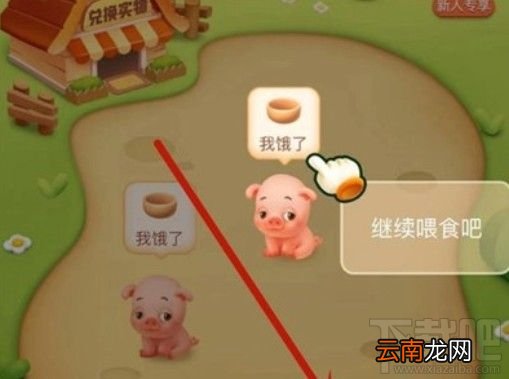 多多牧场偷吃的动物如何回家？拼多多偷吃的猪回家攻略