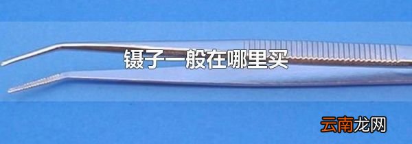镊子一般在哪里买