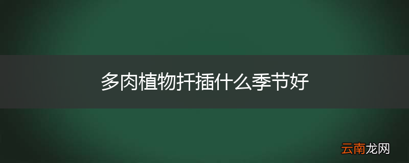 多肉植物扦插什么季节好