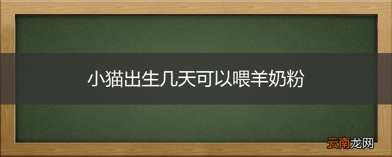 小猫出生几天可以喂羊奶粉