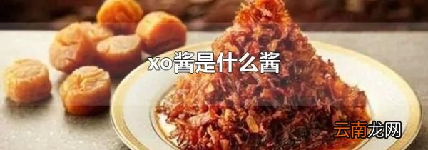 xo酱是什么酱