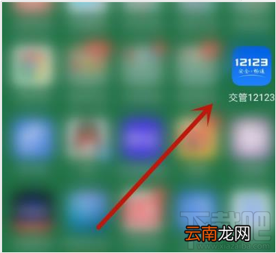 交管12123app如何办理免检车申领检验标志？