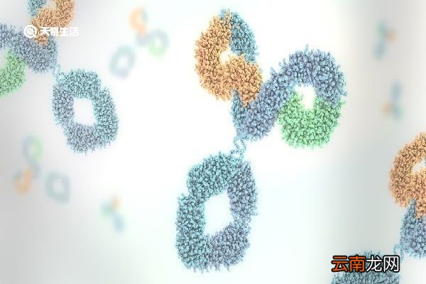 球蛋白针的功效与作用 球蛋白针的功效