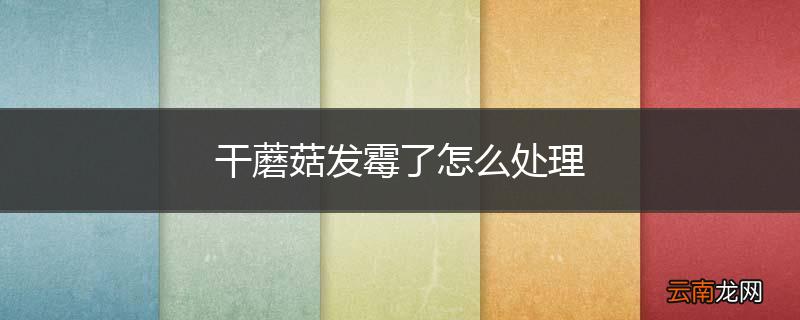 干蘑菇发霉了怎么处理