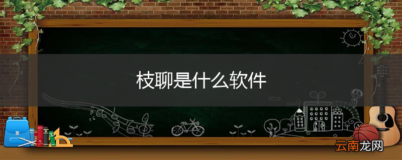 枝聊是什么软件
