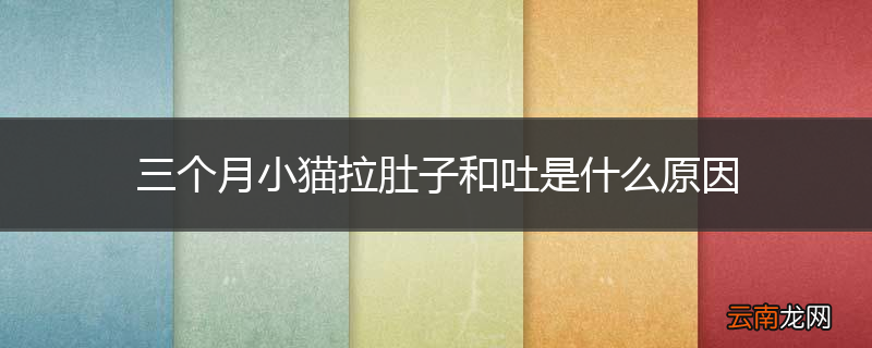 三个月小猫拉肚子和吐是什么原因