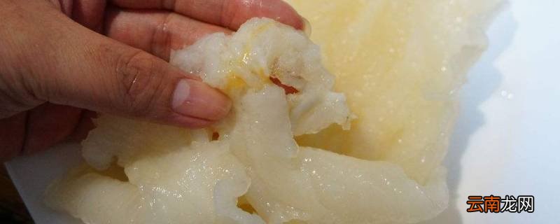 花胶泡三天可以吃吗