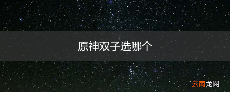 原神双子选哪个