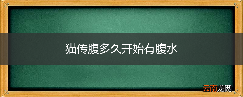 猫传腹多久开始有腹水