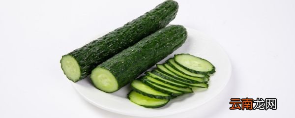 吃黄瓜的好处 吃黄瓜减肥吗