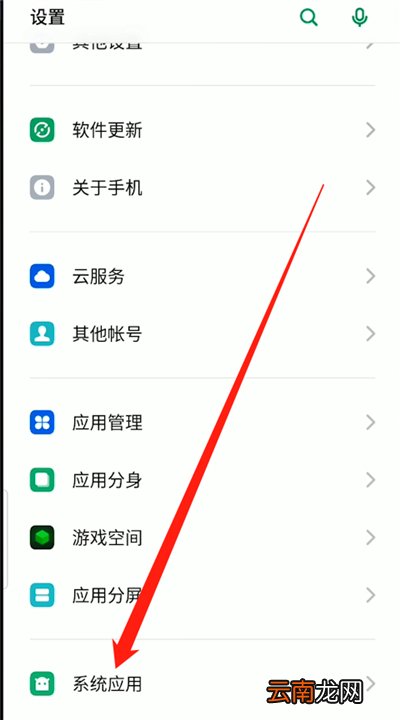 oppoa9录屏没有声音在哪里设置