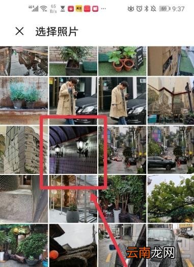 snapseed魅力光晕怎么添加？snapseed添加魅力光晕的教程