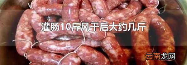 灌肠10斤风干后大约几斤