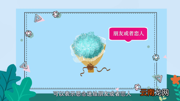 满天星的花语 满天星的花语是什么