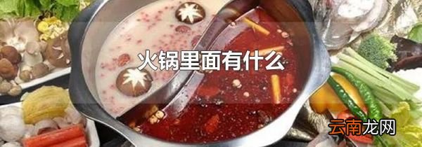火锅里面有什么