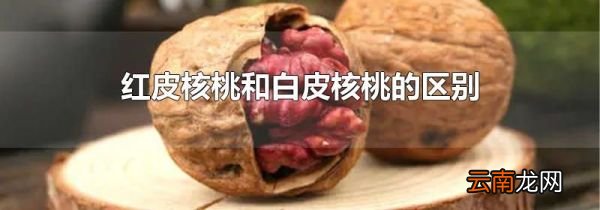 红皮核桃和白皮核桃的区别