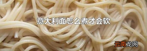 意大利面怎么煮才会软