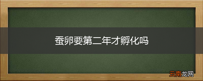 蚕卵要第二年才孵化吗