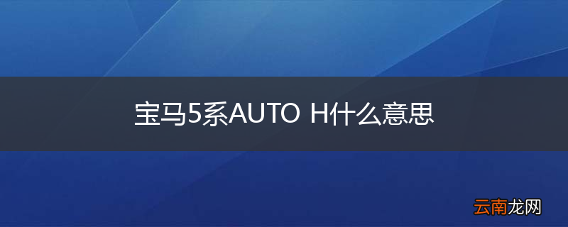 宝马5系AUTO H什么意思