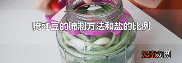 腌豇豆的腌制方法和盐的比例